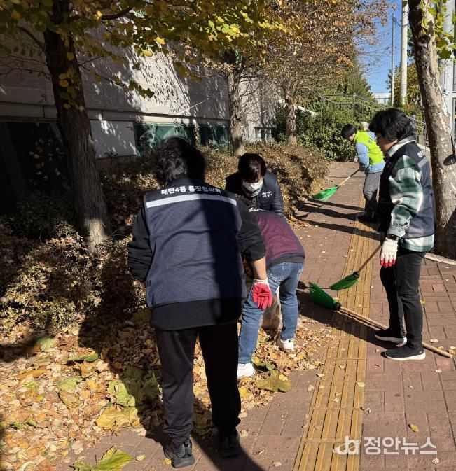 수원시 영통구 매탄4동, 가을철 낙엽 쓰레기 대청소 실시