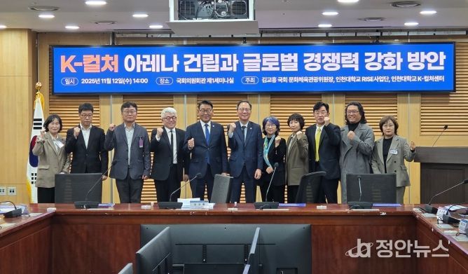 인천 중심의 K-아레나 건립과 K-컬쳐 경쟁력 강화를 위한 토론회