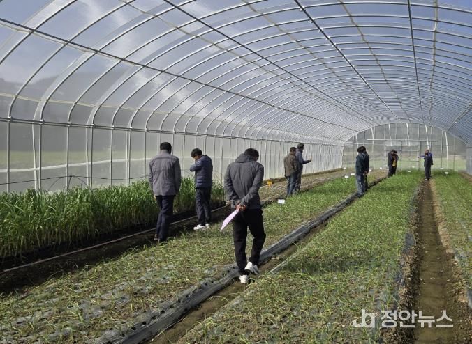 남해마늘연구소 '마늘 우량종구 생산' 박차