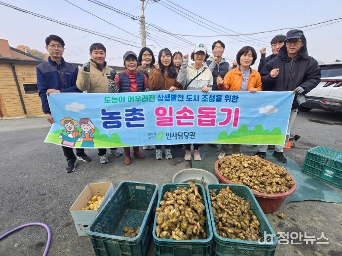 청주시 인사담당관, 김장철 맞아 생강 농가 일손 돕기