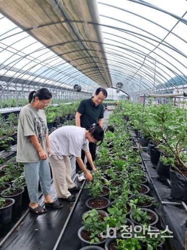 김해시, 퇴직공무원 멘토링 청년 창업농 정착 도와