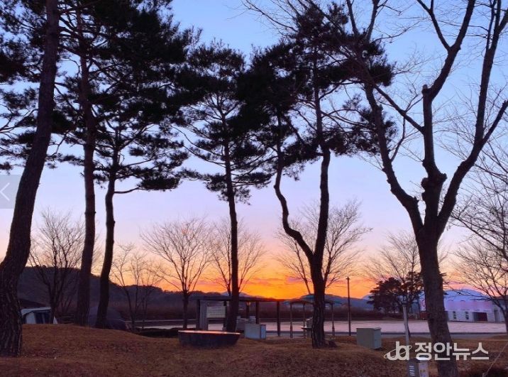 인삼골 오토캠핑장