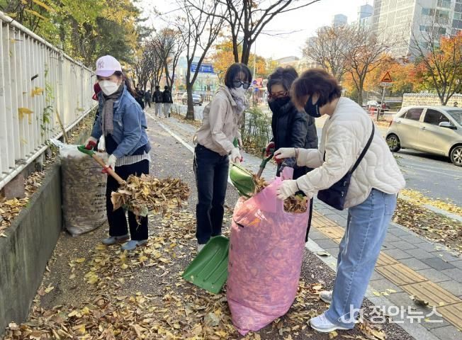 수원시 장안구 정자3동, 가을맞이 낙엽 대청소 실시