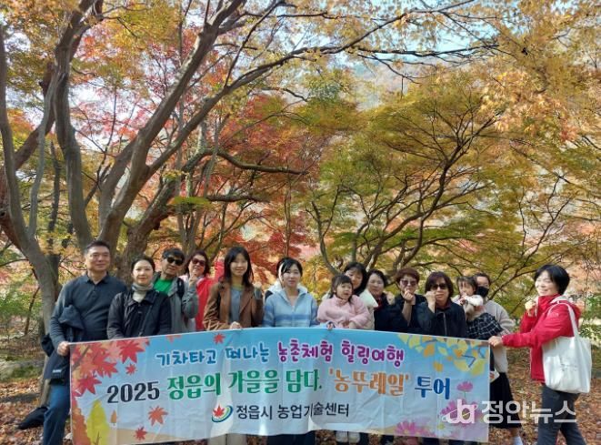 내장산 단풍 보고 막걸리 체험… 정읍 ‘농뚜레일 투어’ 성황
