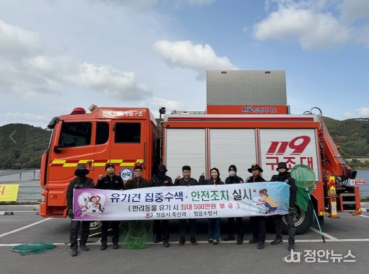 정읍시, 야생화된 유기견 집중 수색 실시