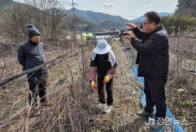 겨울철 농업재해 예방 기술지도