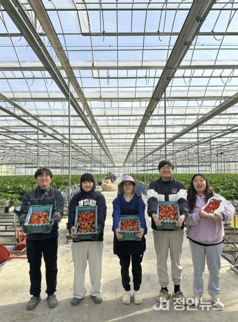 스마트팜사관학교 수확 사진