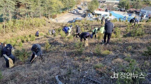 18일 안산시 백운공원에서 열린 비료시비 행사에서 참여자들이 고형복합비료 시비 활동을 진행하고 있다.