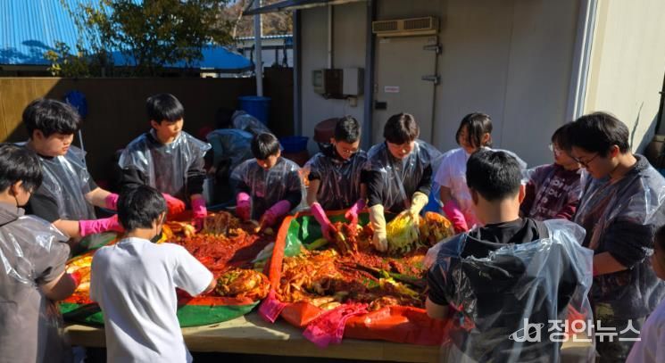 “배추 수확부터 김장까지” 완주 농촌유학생 체험