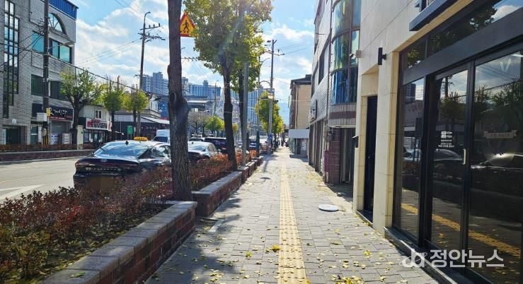 도로정온화 사업(두루침교~낙원사거리)