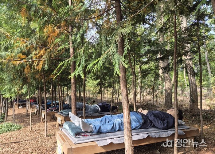 노원구, ‘불암산 힐링타운’서 세계 치유 전문가들 맞이