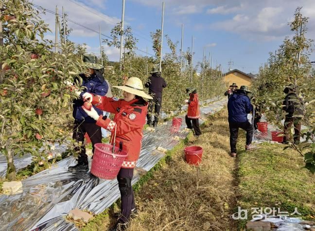 홍성군 홍성읍·구항면, 가을철 농촌 일손돕기 나서