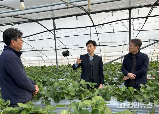 한파 대비 시설재배 작물 생육 합동 점검