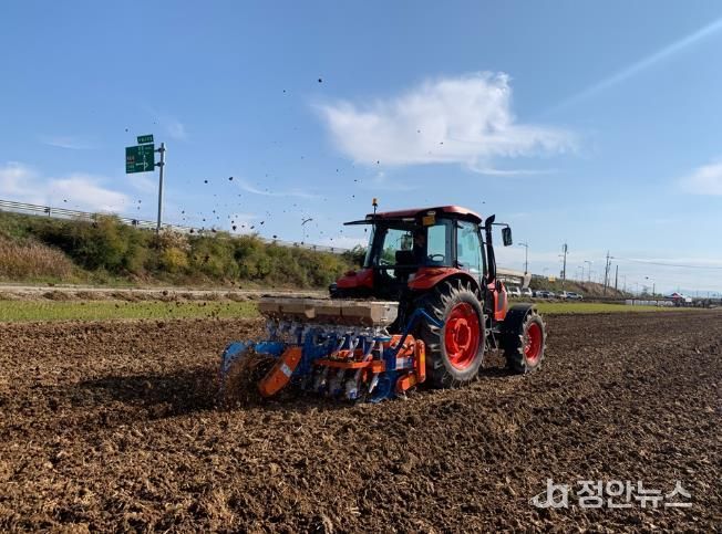 김제시, 밀·보리 적기파종 못했다면? 이렇게 하세요!