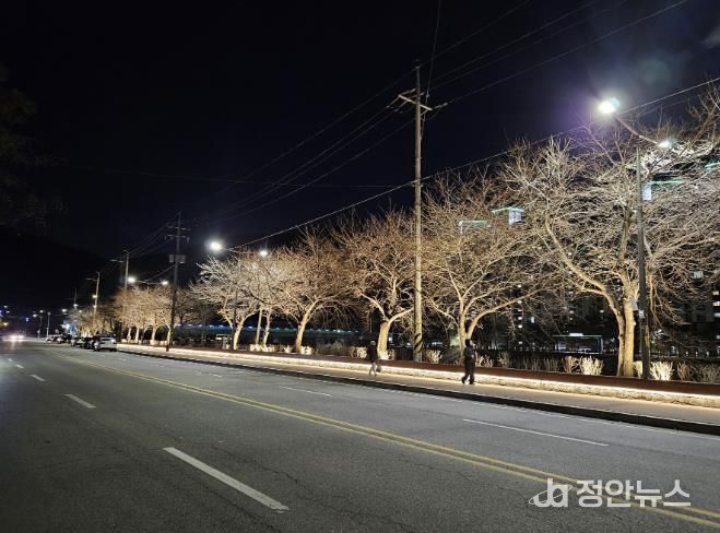 가평군 청평리, ‘야간경관 특화거리’로 재탄생