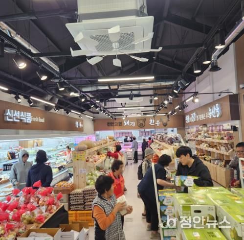 개장 500억 돌파… 진안 로컬푸드가 만든 상생의 기적