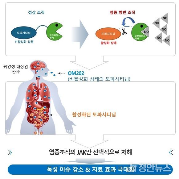 K-MEDI hub, 궤양성 대장염 치료제 원스톱 개발 지원
