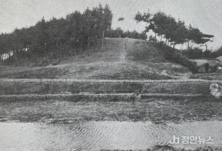 1971년_신털미산(사진출처 저작자(셀수스협동조합).