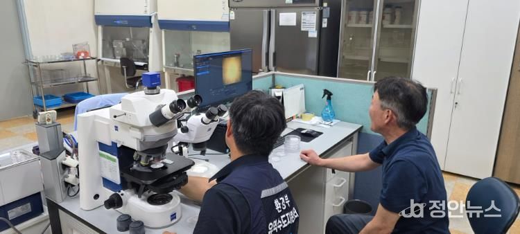 수돗물 합동 역학조사