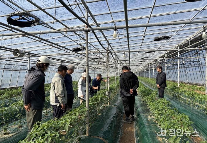 심상환 고추명장이 시설고추 교육생 농가를 방문해 현장 컨설팅을 하고 있다.