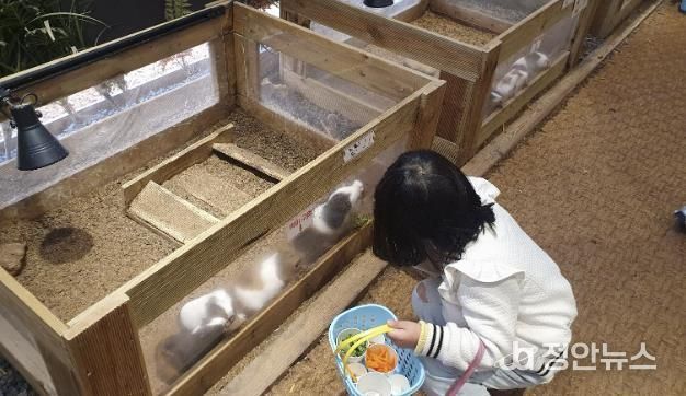 굼프로 곤충체험학습장