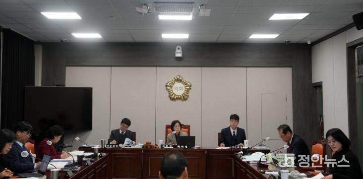 태백시의회, 제288회 제2차 정례회 제2차 행정사무감사특별위원회 실시