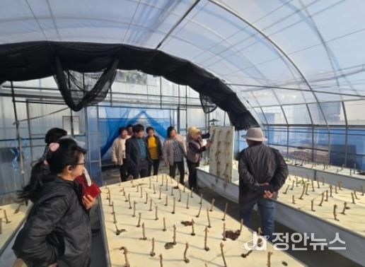 장수군 품목별 농업인 연구회, 현장 중심 기술교육 추진