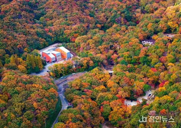 거제 자연휴양림