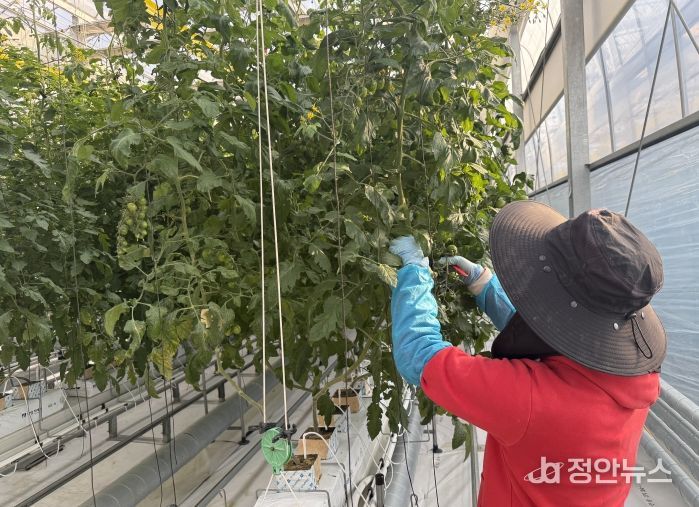 미래 농업을 이끌 청년들, 진안군 테스트베드에서 실습으로 배운다