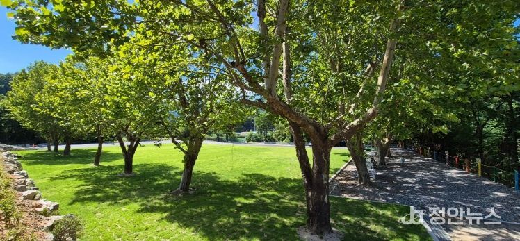 새활용 농촌유휴시설 ‘농소막’