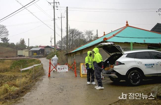 양돈농가 방역 사진