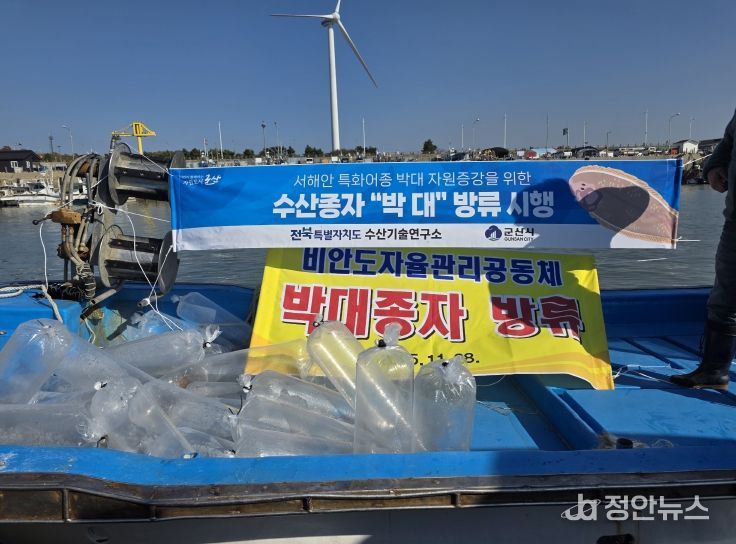 전북자치도, 어린 박대 10만 마리 무상방류