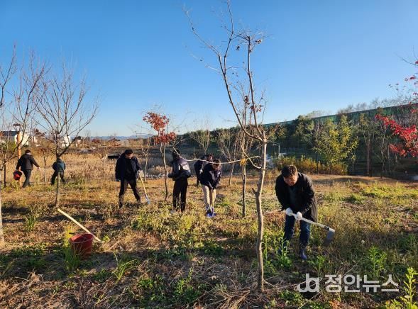 완주군, 숲과 나무 가치 재확인 숲 가꾸기 체험