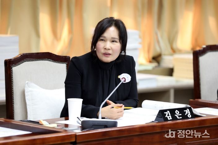 수원특례시의회 김은경 의원