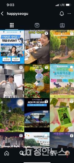 대구 서구청 인스타그램 캡처