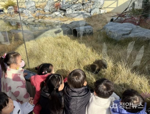 충주아쿠아리움, 수달 공개 시작!