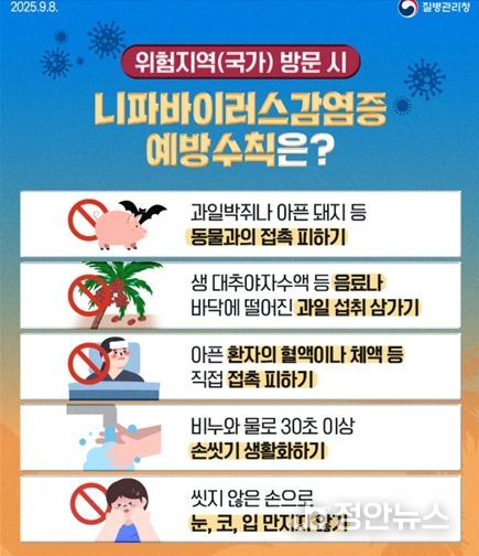 니파바이러스 예방수칙 질병청 카드뉴스