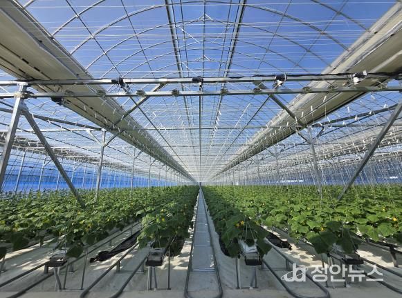 남원시, 2026년도 원예·과수분야 지원사업 신청접수 실시