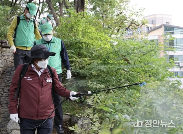 집중 방역소독의 날에 방역 작업을 하고 있는 박강수 마포구청장