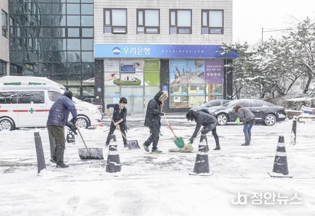 양천구, 내 점포 앞 눈 치우고 있는 모습