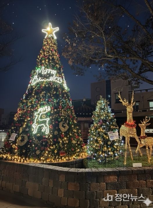 금산군 우체국사거리 연말연시 트리