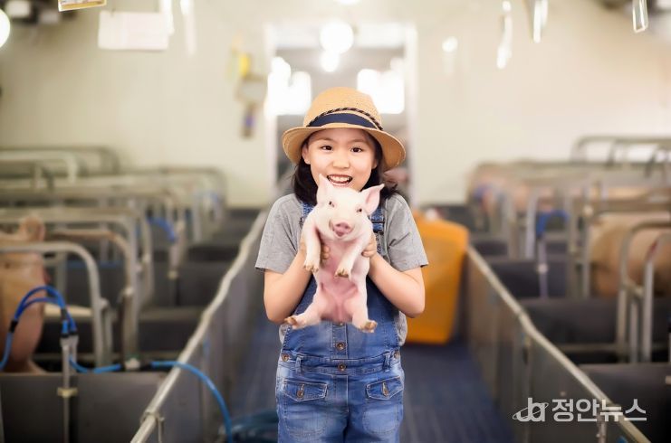 농식품부 공모사업 선정