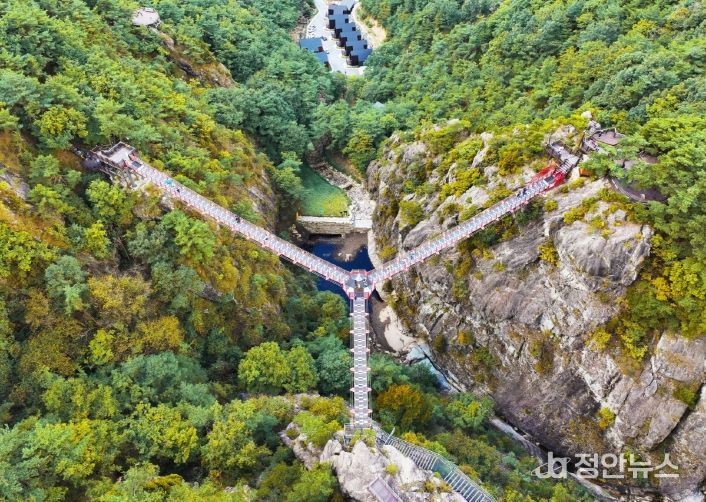 항노화힐링랜드