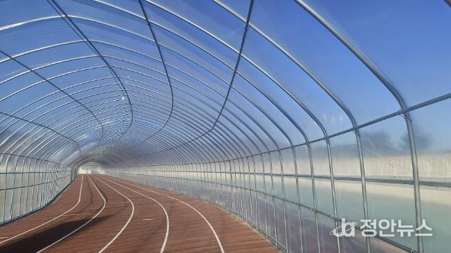 비닐하우스가 설치된 서산시 종합운동장 주 경기장 육상트랙 모습