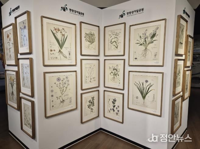 포천시, 한탄강의 아름다운 색채를 담은 압화 전시 개최