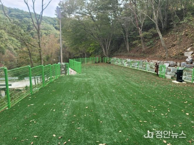 산삼자연휴양림 반려견놀이터 전경사진