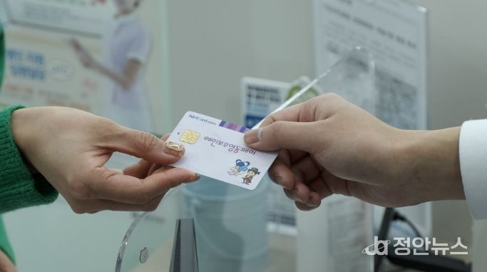 영동군 레인보우영동페이