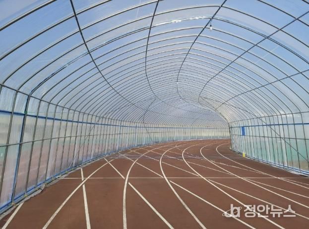 당진종합운동장 동계 비닐 터널 운영