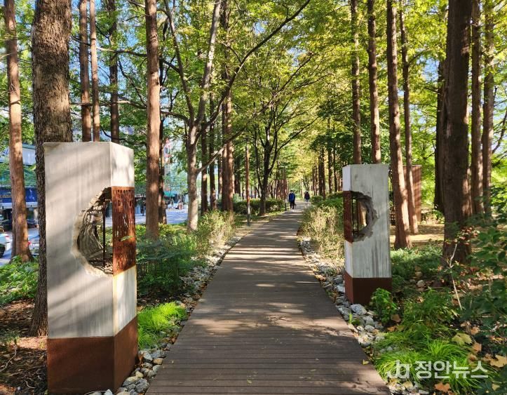 ‘살롱드가든’ 사진