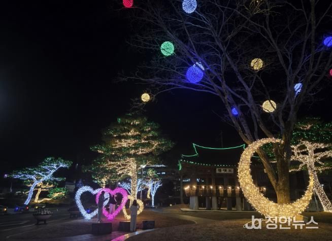 산청군, 한마음공원 야간 경관조명 설치